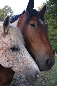 Two Friendly Horses Journal