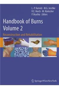 Handbook of Burns, Volume 2