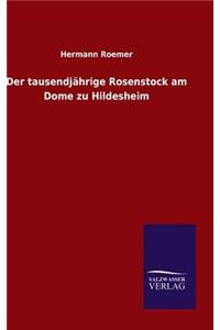 tausendjährige Rosenstock am Dome zu Hildesheim