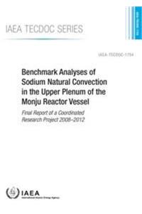 Benchmark Analyses of Sodium Natural Convection in the Upper Plenum of the Monju Reactor Vessel