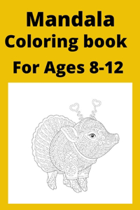 Mandala Coloring book For Ages 8 -12
