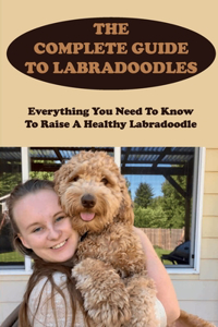 Complete Guide To Labradoodles