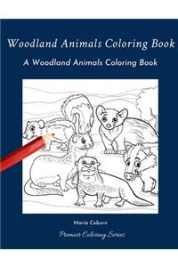 Woodland Animals Coloring Book