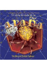 El Ciclo de Vida de la Araña (the Life Cycle of a Spider)