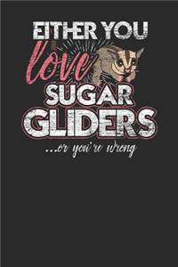 Either You Love Sugar Gliders Or You're Wrong