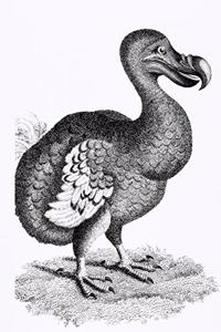 Notizbuch für Kreative