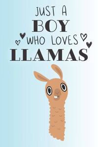 Just A Boy Who Loves Llamas