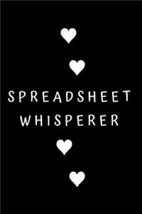Spreadsheet Whisperer