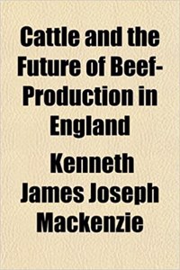 Cattle and the Future of Beef-Production in England