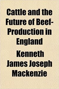 Cattle and the Future of Beef-Production in England