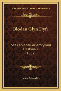 Blodau Glyn Dyfi