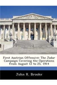 First Austrian Offensive