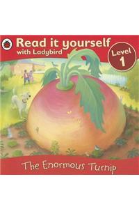 Enormous Turnip