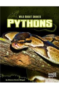 Pythons