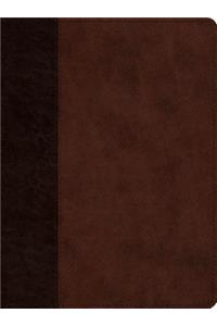 ESV Proverbs: Daily Wisdom (Trutone, Brown/Walnut, Timeless Design)