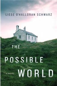 The Possible World