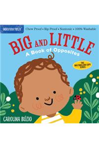 Indestructibles: Big and Little: A Book of Opposites