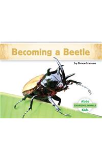 Becoming a Beetle