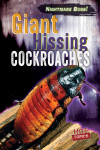 Giant Hissing Cockroaches