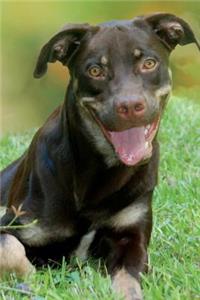 Smiling Rottweiler Dog Journal