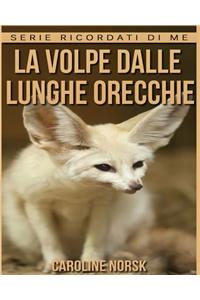La volpe dalle lunghe orecchie