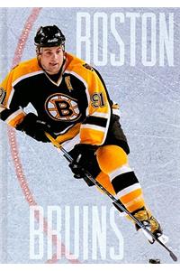 The Story of the Boston Bruins