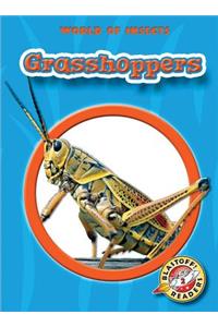 Grasshoppers