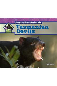 Tasmanian Devils