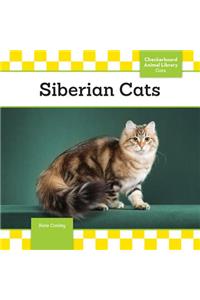 Siberian Cats