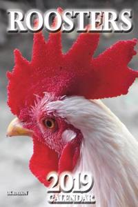 Roosters 2019 Calendar (UK Edition)