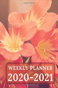 Weekly Planner 2020-2021