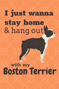 I just wanna stay home & hang out with my Boston Terrier