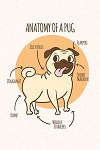 Anatomy of a Pug