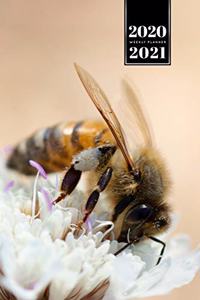 Bee Insects Beekeeping Beekeeper Week Planner Weekly Organizer Calendar 2020 / 2021 - White Cluster Flower