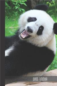 Panda Notebook