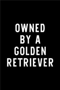 Owned By A Golden Retriever