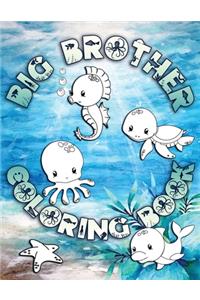 Big Brother Coloring Book