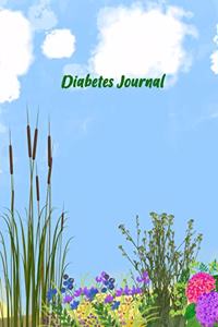 Diabetes Journal