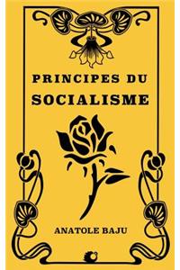 Principes Du Socialisme