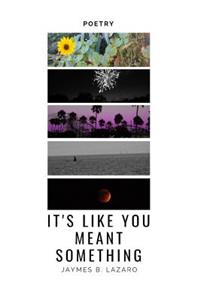 It's Like You Meant Something