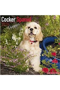 Cocker Spaniel Puppies Calendar 2018