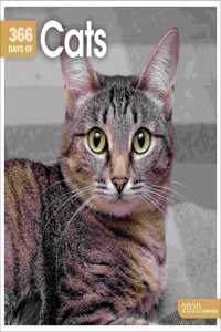 CATS 365 DAYS W 2020