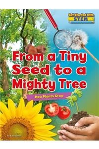 From a Tiny Seed to a Mighty Tree