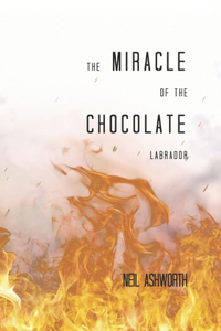 Miracle of The Chocolate Labrador