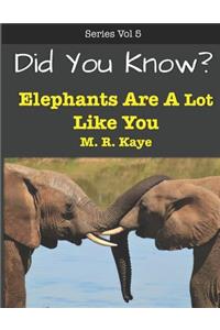 Did You Know? Elephants Are A Lot Like You