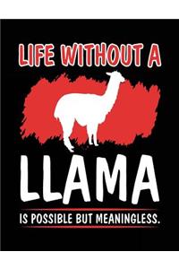 Life Without A Llama Is Possible But Meaningless.