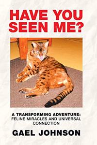 Have You Seen Me?