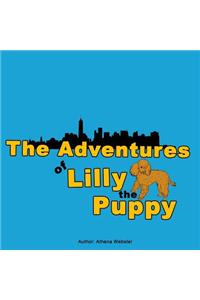 Adventures of Lilly the Puppy