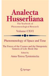 Phenomenology of Space and Time