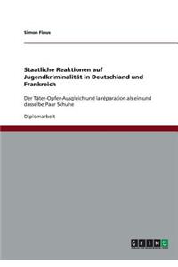 Staatliche Reaktionen auf Jugendkriminalität in Deutschland und Frankreich